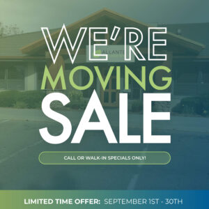 We're Moving Sale